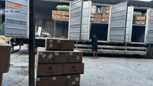 7 Tiêu Chí Chọn Dịch Vụ Vận Tải Chất Lượng, An Toàn, Tránh Rủi Ro
